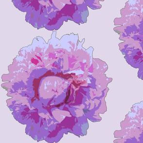 peony big--lilac