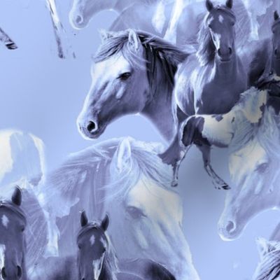 blue horses