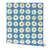 daisy dots on bright sky blue