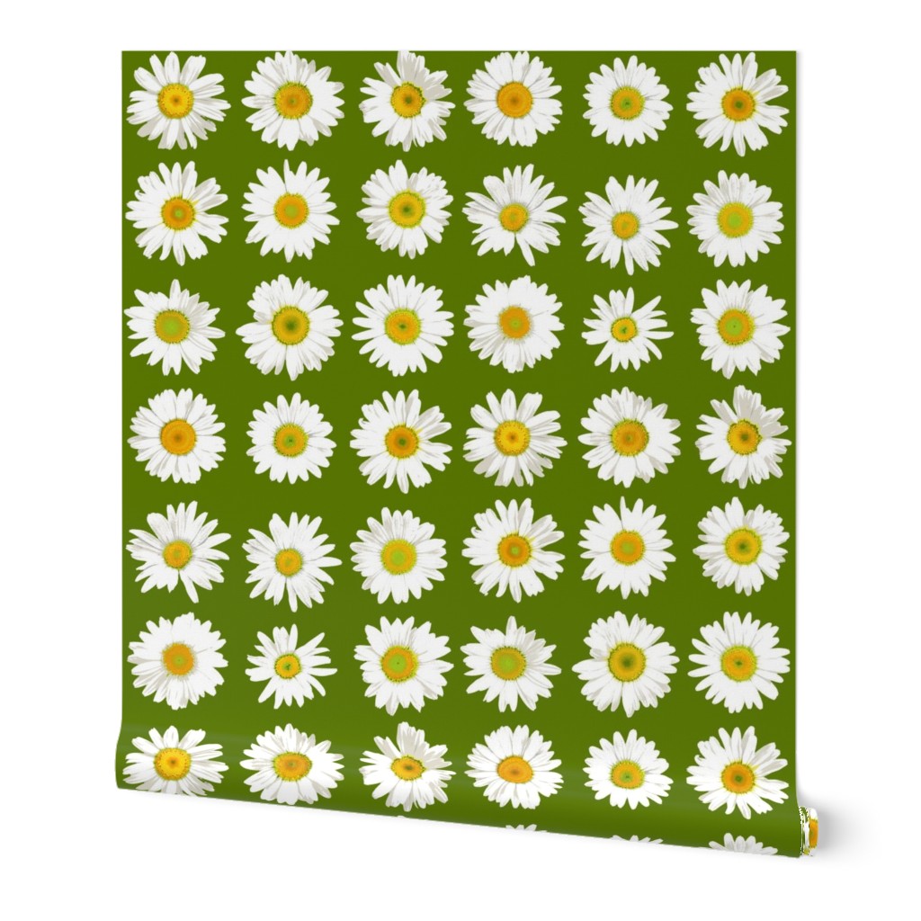 daisy dots on grass green