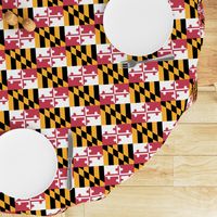 Maryland Flags - True Color