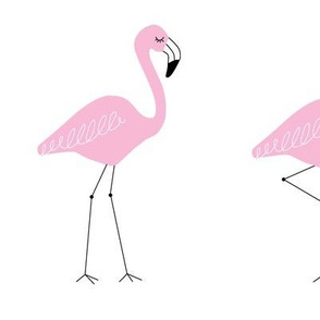 flamingo family