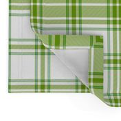 hiker's plaid - 14" leaf green, sky blue and white