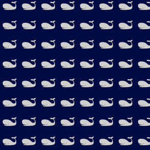 Dark Blue Whale