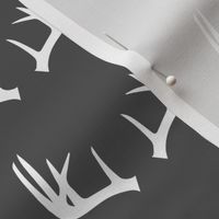 antlers on charcoal // Woodland collection
