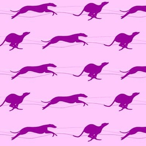 Running Whippets, Pink