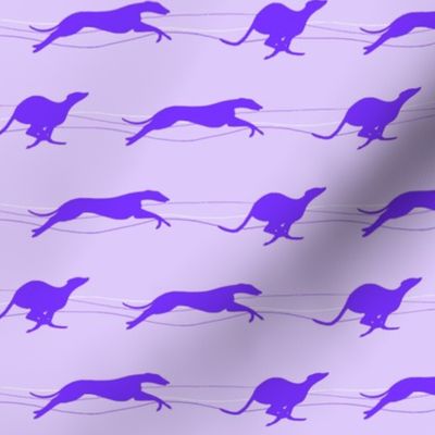 Running whippets purple/lilac