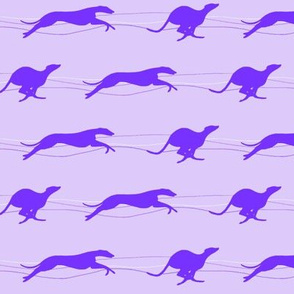 Running whippets purple/lilac