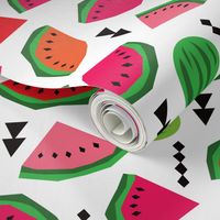 Water Melon summer fruit illustration pattern