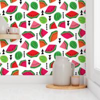 Water Melon summer fruit illustration pattern