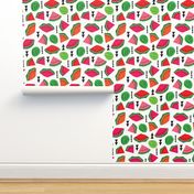 Water Melon summer fruit illustration pattern