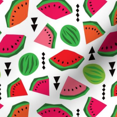 Water Melon summer fruit illustration pattern