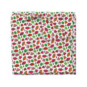 Water Melon summer fruit illustration pattern