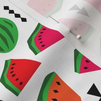 Water Melon summer fruit illustration pattern