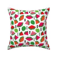 Water Melon summer fruit illustration pattern