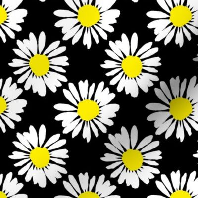 Daisies