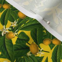 Lemon Botanical ~ Whist ~ Small