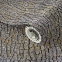 Garry Oak bark