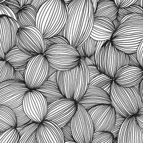 Cloves in Black & White