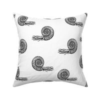 ammonite white and black 50