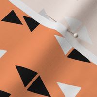 Triangles Coordinates - Tangerine by Andrea Lauren