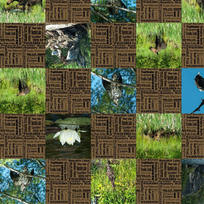 checker_board_brown_camping_1