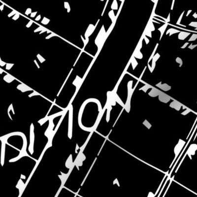 Neighborhood Plat Map in Black