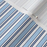 Blue Stripe