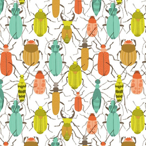 Beetles