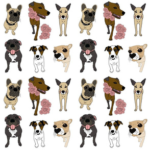 dog pattern