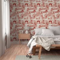 Les Environs de Paris ~ Toile de Jouy ~ Turkey Red ~ Linen Luxe