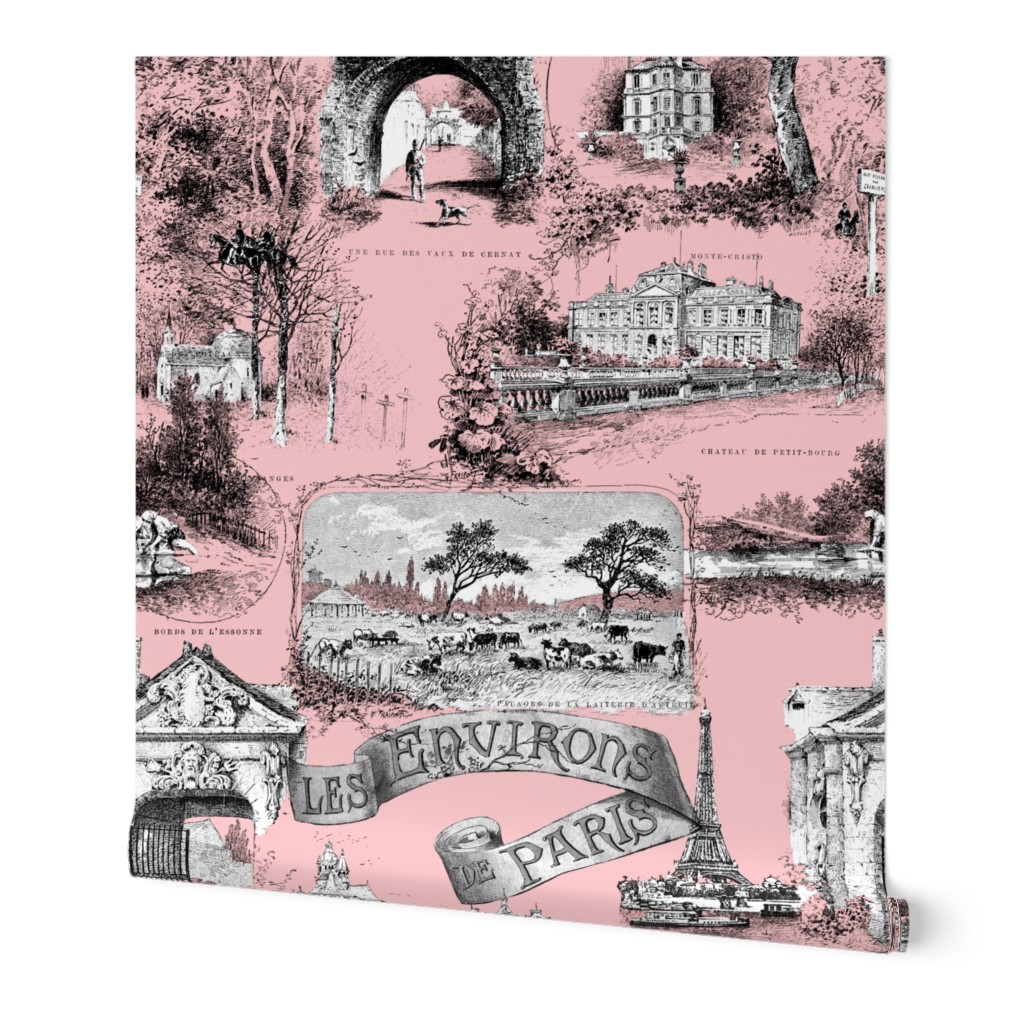 Les Environs de Paris ~ Toile de Jouy ~ Dauphine