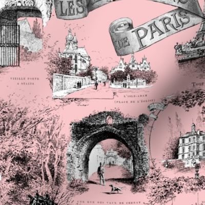 Les Environs de Paris ~ Toile de Jouy ~ Dauphine