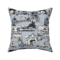 Les Environs de Paris ~ Toile de Jouy ~ Versailles Fog ~ Linen Luxe