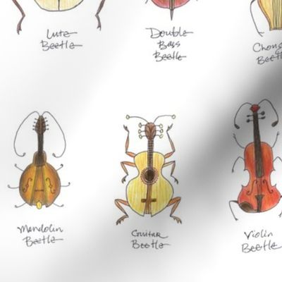 stringed beetles