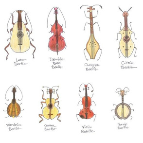 stringed beetles