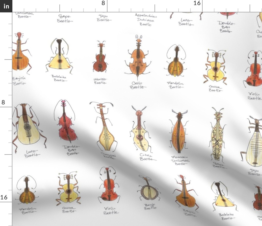 stringed beetles