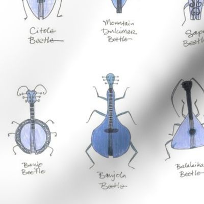 bluegrass beetles