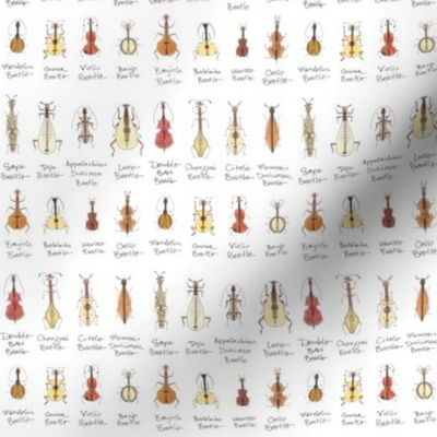 stringed beetles tiny