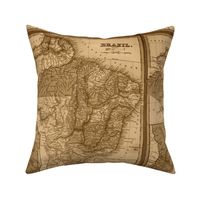 Brazil map in sepia, FQ