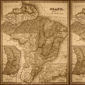 Brazil map in sepia, FQ