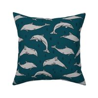 dolphin // kids animals ocean water animals whales nautical summer