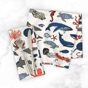 ocean animals // kids shark whale squid crab shark fish dolphin kids ocean nautical animals