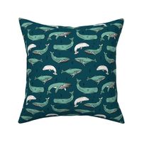 whales // ocean nautical summer kids animals blue water