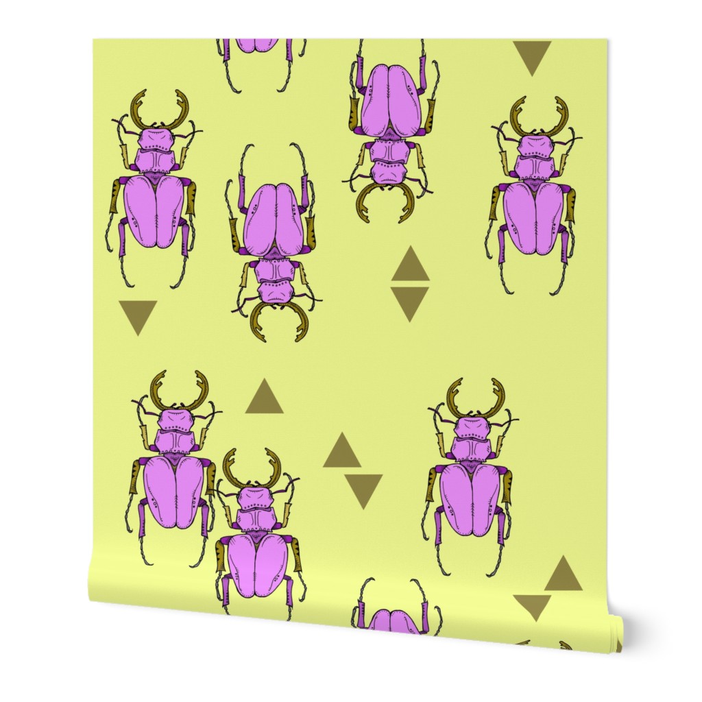 Beetles and Triangles