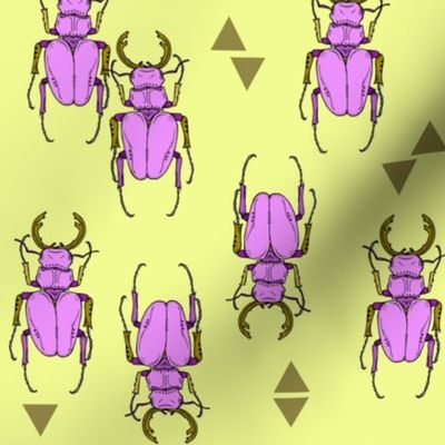 Beetles and Triangles