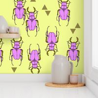 Beetles and Triangles