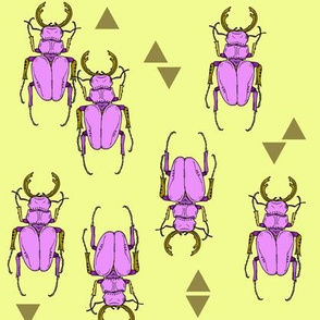 Beetles and Triangles