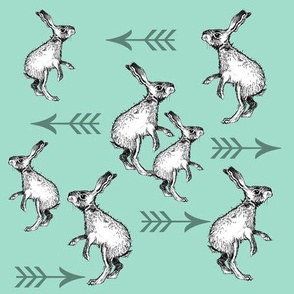 Rabbits and Arrows