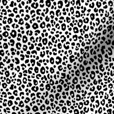 Leopard Black & White small